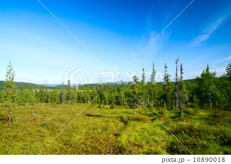 north mountain tundra north mountain tundra 10890018