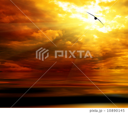 sunset in open sea sunset in open sea 10890145