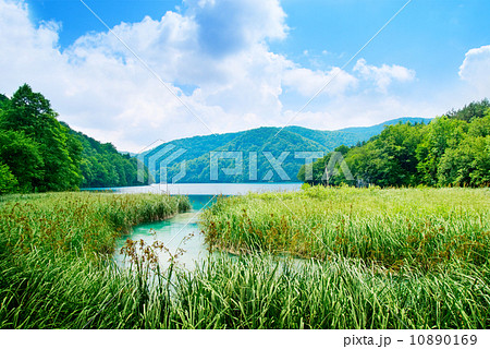 lake in forest lake in forest 10890169