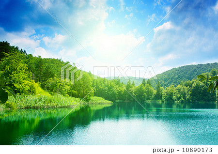 green water lake in forest 10890173