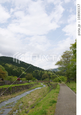 一乗谷 一乗谷 10890337