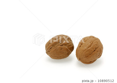 クルミ 10890512