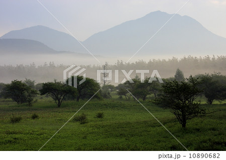 朝もや流れる奥日光・小田代原と太郎山 10890682