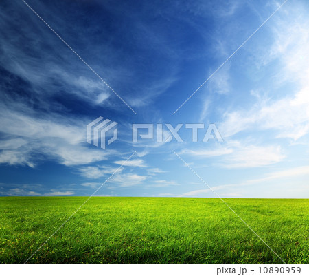 field of spring grass and sunset field of spring grass and sunset 10890959