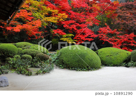 詩仙堂の紅葉 10891290