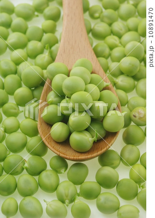エンドウマメ 10891470
