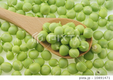 えんどう豆 えんどう豆 10891471