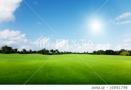 green field and trees 10891796