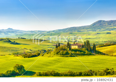 Tuscany at spring 10892431