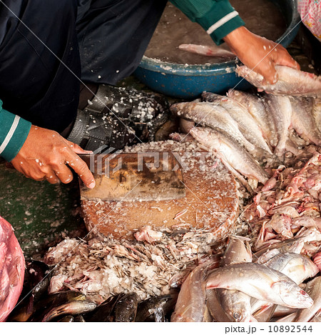 Selling fish at traditional asian seafood marketplace in Siem Reap, Cambodia Selling fish at traditional asian seafood marketplace in Siem Reap, Cambodia 10892544