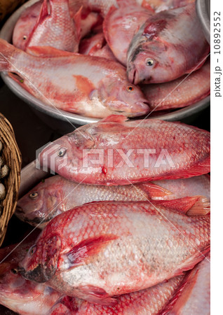 Raw fresh seafood, fish and clams for sale at asian food market Raw fresh seafood, fish and clams for sale at asian food market 10892552