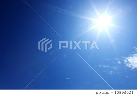 初夏の太陽 10893021