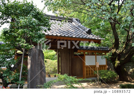 西照寺の山門（東京都杉並区） 10893572