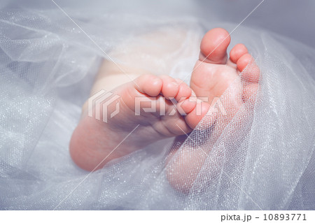 Baby's feet Baby's feet 10893771