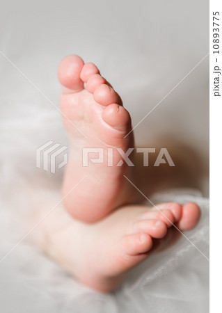 Baby's feet 10893775