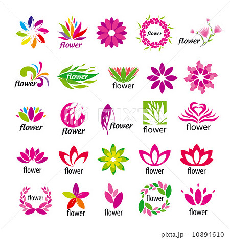 Collection of vector multicolored floral logos 10894610