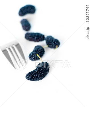 fresh ripe mulberry over white fresh ripe mulberry over white 10895742