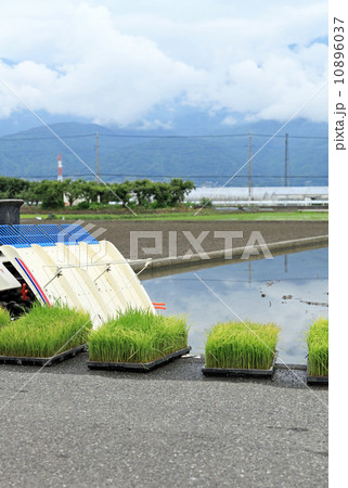 田植え前 田植え前 10896037