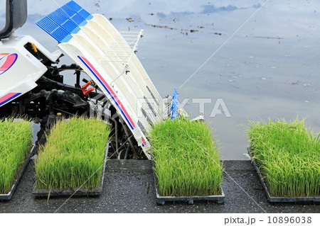 田植え前 田植え前 10896038