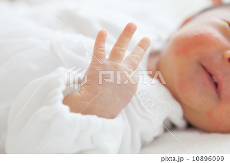 生後１か月の赤ちゃん　手 10896099