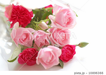 薔薇 バラ カーネーション 母の日 花束 花 桃色 植物 生花 切花 アレンジメント フラワー の写真素材