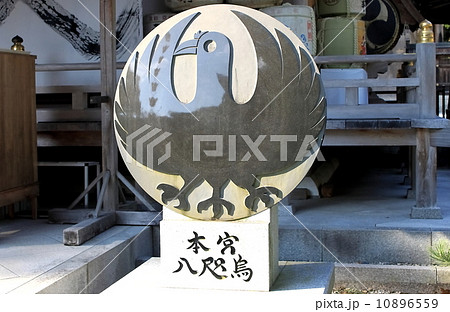 八咫烏 10896559