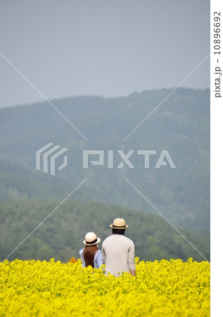 2人の菜の花畑 2人の菜の花畑 10896692