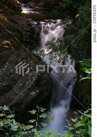 河津七滝 出合滝 河津七滝 出合滝 10896805