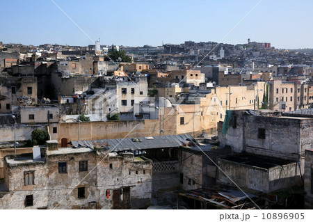 フェズ フェズ 10896905