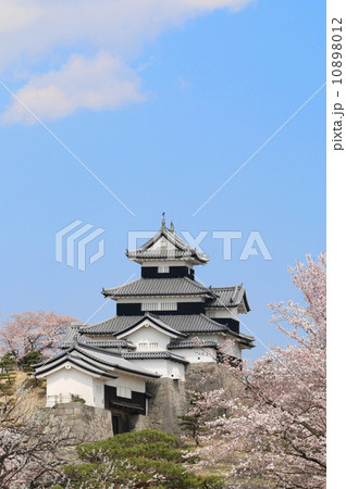 桜と小峰城 10898012