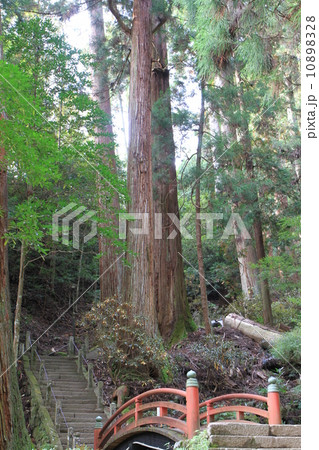 室生寺 室生寺 10898328