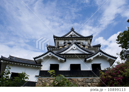 国宝　彦根城 10899113