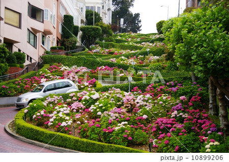 サンフランシスコ, ロンバードストリート, 坂, 市街地 10899206