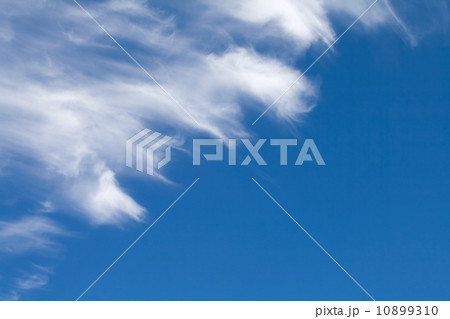 Windy clouds on the blue sky. Background Texture Windy clouds on the blue sky. Background Texture 10899310