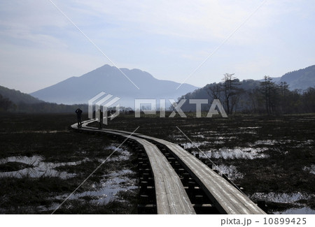 朝霧の尾瀬 10899425