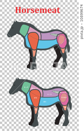 Horse Part Stock Illustration