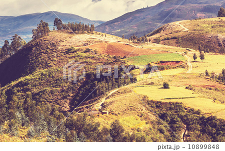 Fields in Bolivia Fields in Bolivia 10899848