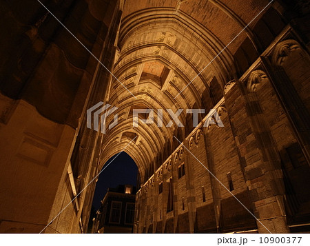 ユトレヒト大聖堂夜景 ユトレヒト大聖堂夜景 10900377