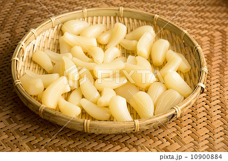 塩漬けらっきょうの天日干し 10900884