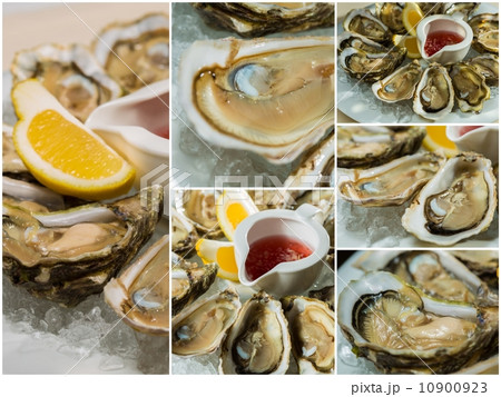 Collageof  platter of fresh organic raw oysters on ice 10900923