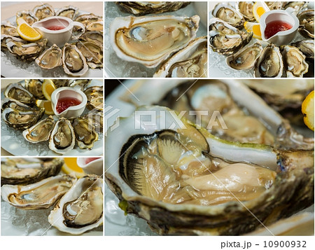 Collageof  platter of fresh organic raw oysters on ice 10900932