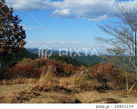 陣馬山 山頂 10901154