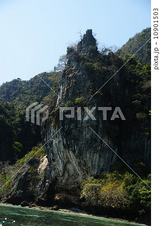 シンガポール シンガポール 10901503