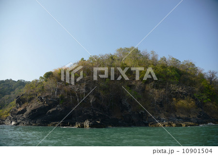 シンガポール シンガポール 10901504