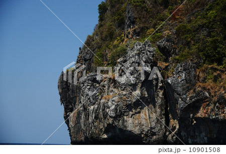 シンガポール 10901508