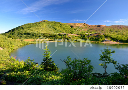 草津白根山弓池園地 10902035