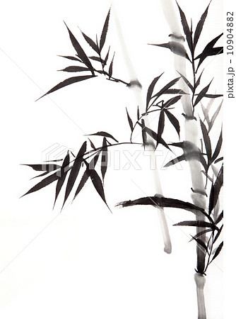 Bamboo Leafのイラスト素材