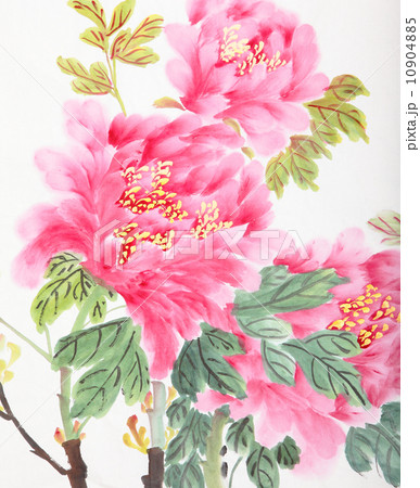 peony flower peony flower 10904885