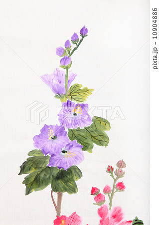 Purple flower 10904886