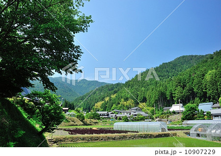 夏の京都洛北大原農村風景 6月 夏の京都洛北大原農村風景 6月 10907229
